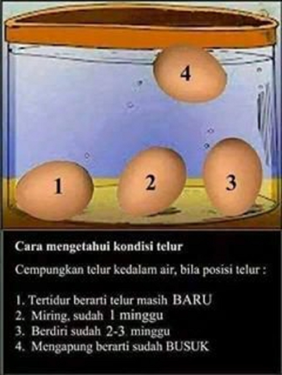 Resepi Telur Rebus Separuh Masak ( Sebiji Seperti Dikedai Mamak) 2 Resepi Telur Rebus Separuh Masak ( Sebiji Seperti Dikedai Mamak) 2