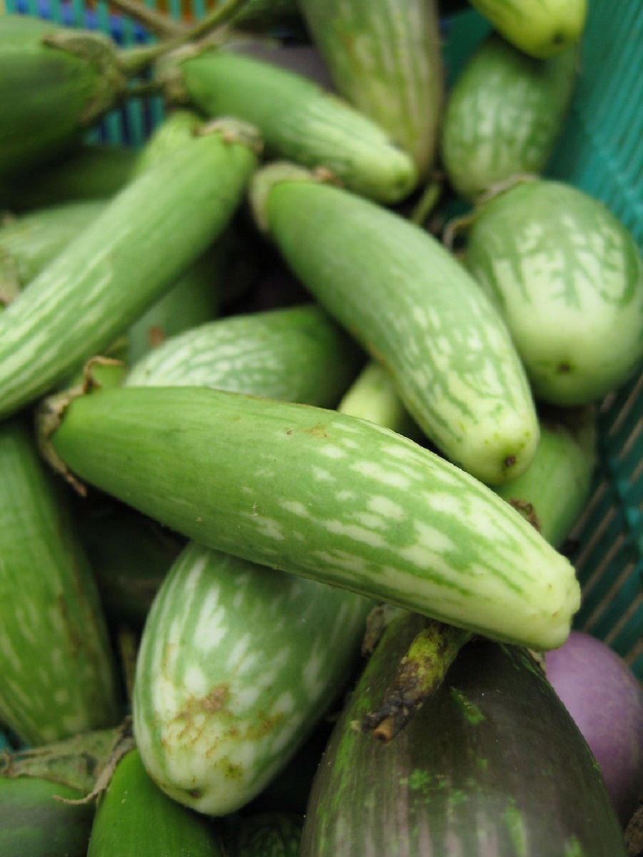 Resepi Asam Rebus Tempoyak ( Cara Mudah Masakan Kampung) 2 Resepi Asam Rebus Tempoyak ( Cara Mudah Masakan Kampung) 2